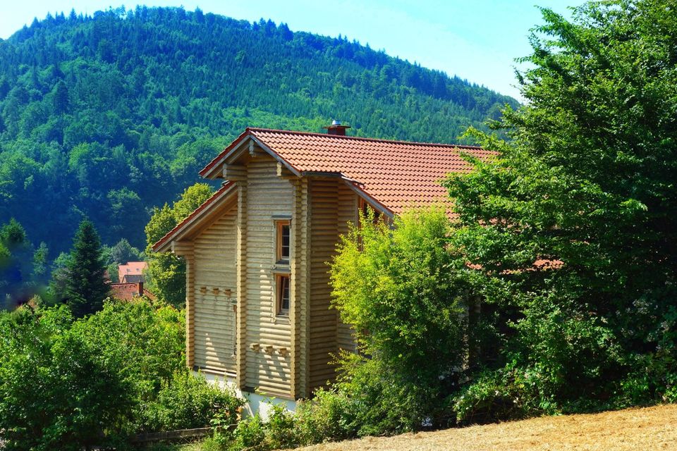 Generationen Öko Block Haus 245 qm Neckarblick, Wald, S-Bahn