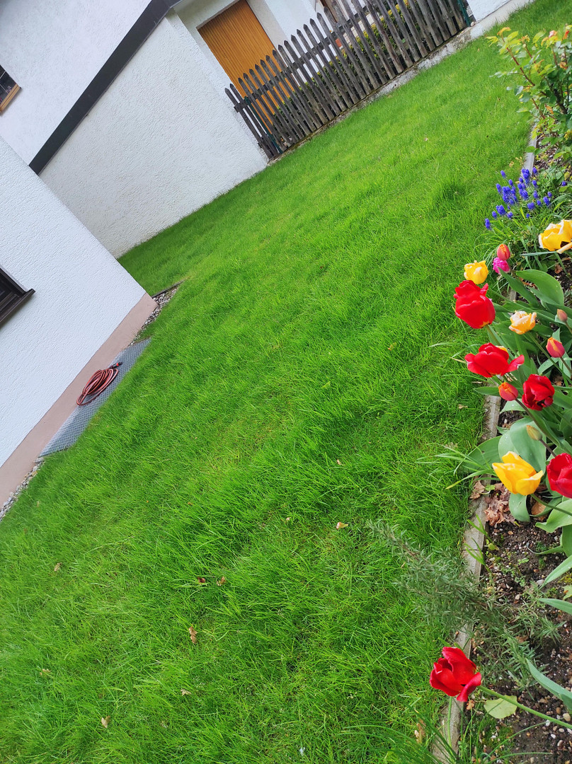 79m² Wohn-/Nutzfläche | Provisionsfrei | 3 Zimmer Maisonette Gartenwohnung | sofort bezugsfrei