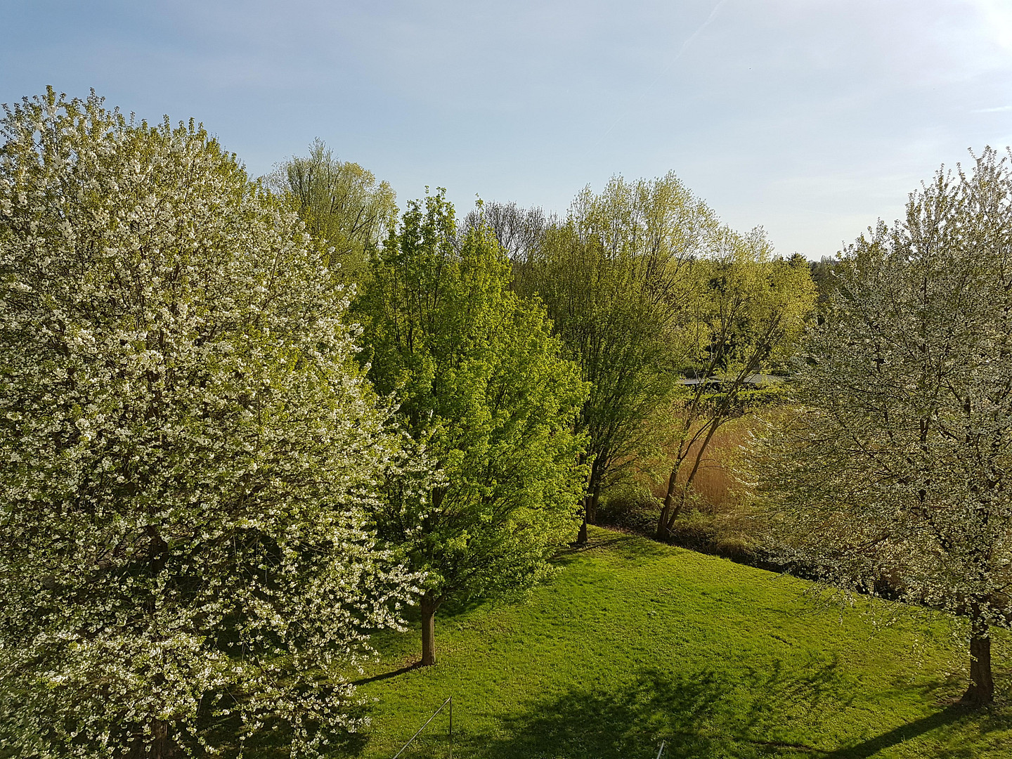 Südbalkon, freier Blick ins Grüne, 4Raumwohnung