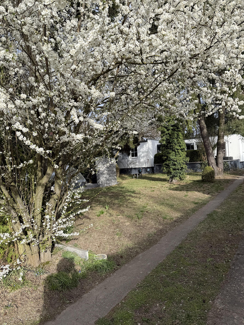 Haus im Bungalowstil als Fertigbau mit Pool, Nebengelass und großem Grundstück