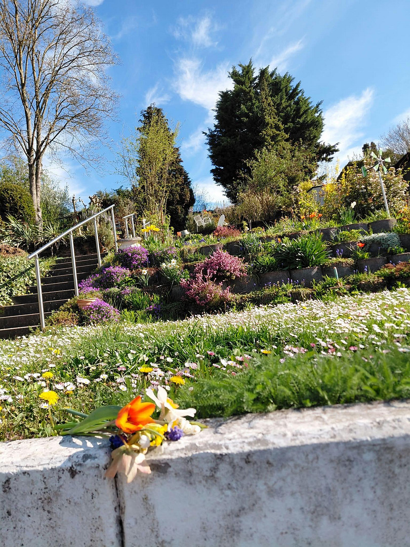 Stadtnahe, idyllische Terassen/Gartenwohnung in ruhiger Weinberglage