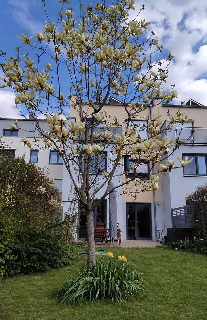 Modernes, familienfreundliches Stadthaus in Altlindenau inkl. Tiefgarage - von privat