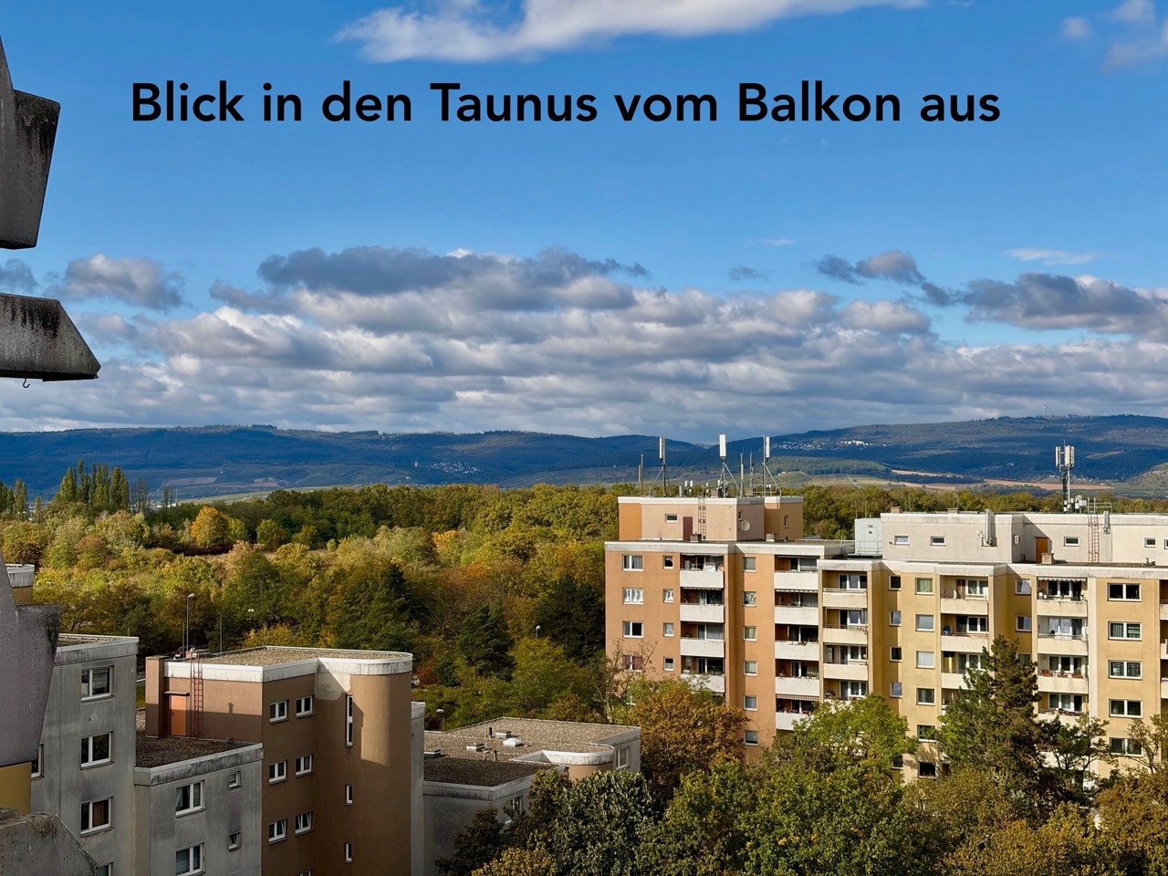 Perfekte Lage - Stadtrand Mainz mit Ausblick ins Grüne - hell und mit Aufzug