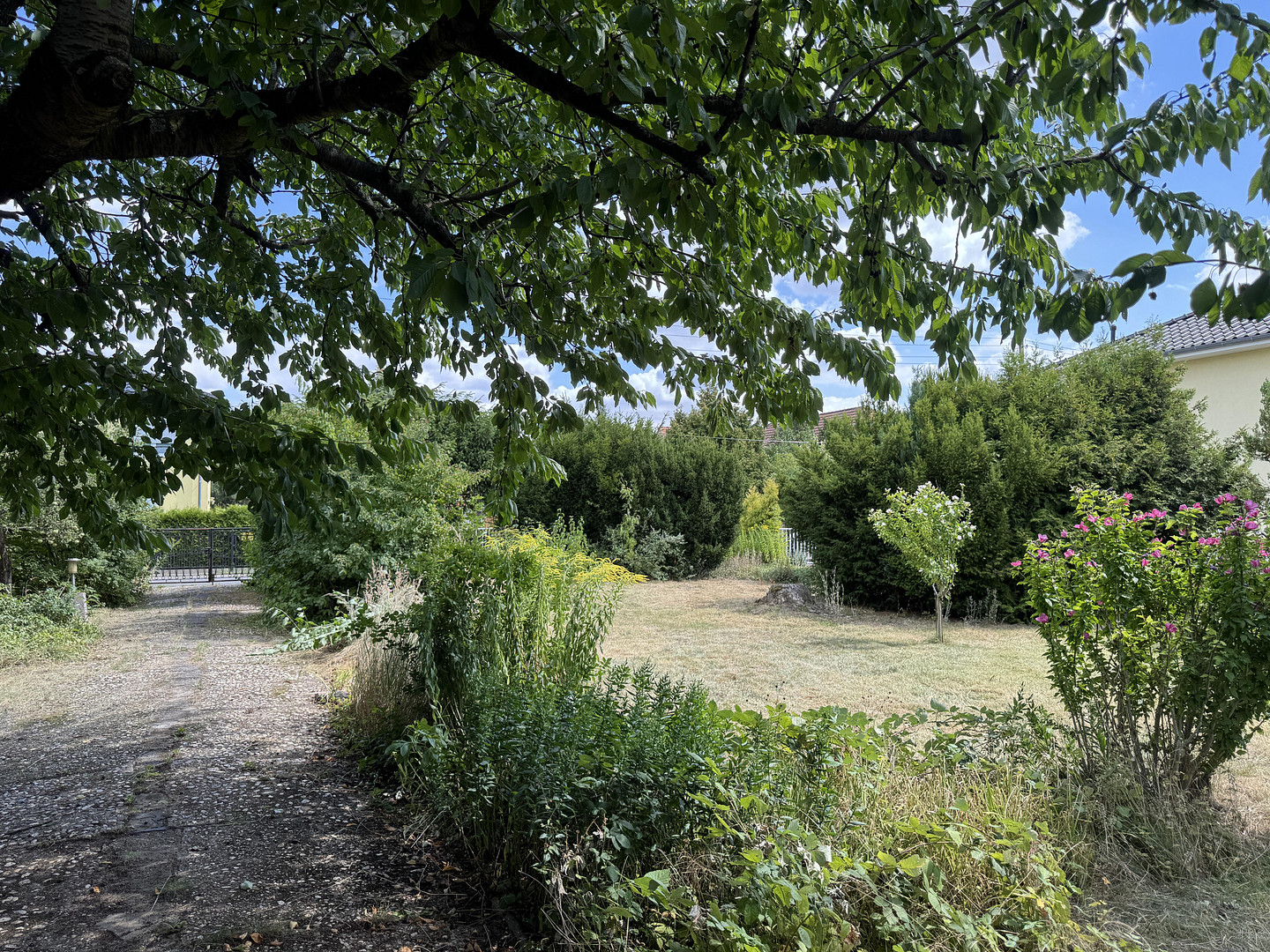 Wohnbaugrundstück mit kleinem Einfamilienhaus und Neubauperspektive • provisions- und bauträgerfrei