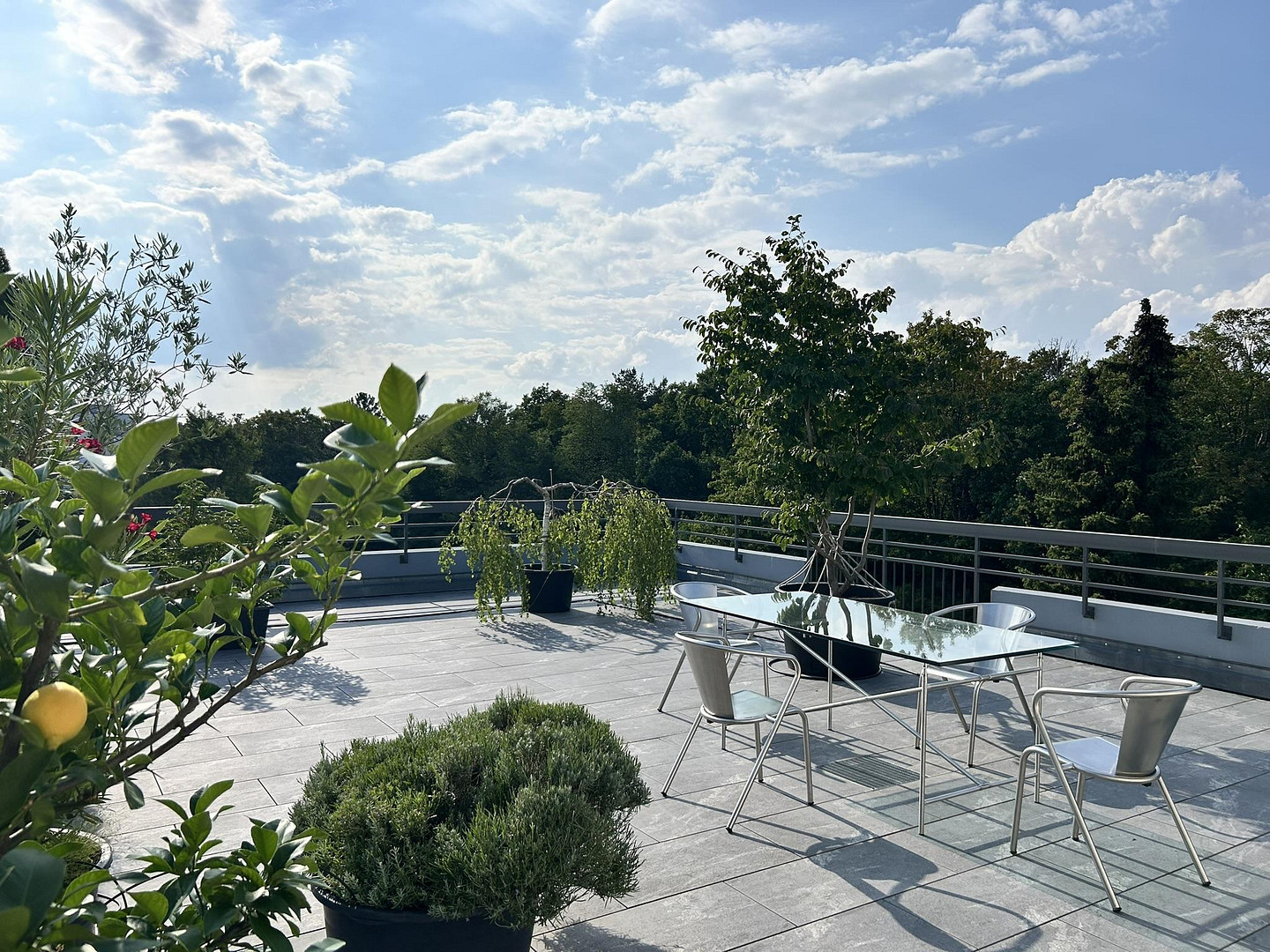 Penthouse mit außergewöhnlichen Terrassen in Stuttgart-Riedenberg