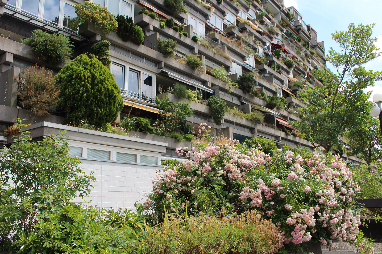 Wunderschöne 2-Zimmer-Wohnung mit eigenem Gartenhof im Terrassenhaus Hannover