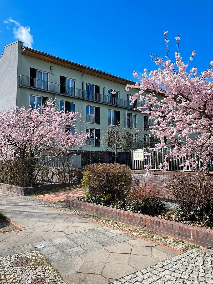 Renovierte 2 Zimmer Wohnung mit Loftfeeling in Pankow / Französisch Buchholz