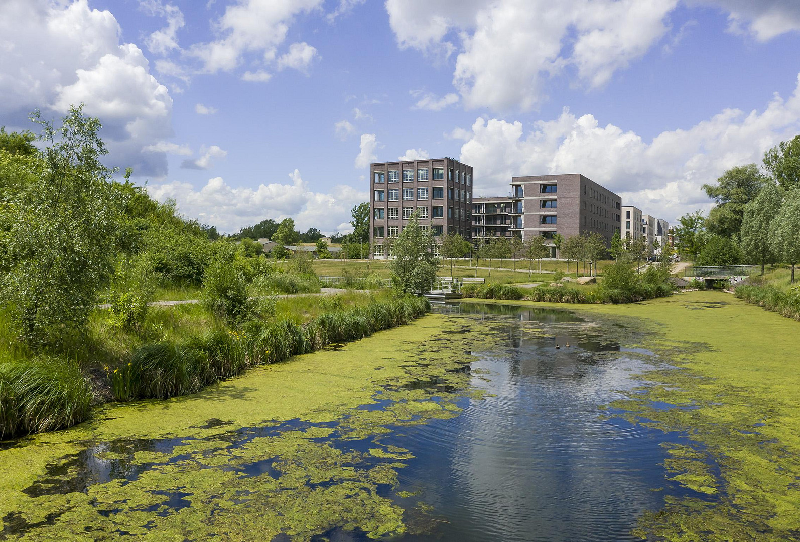 Erdgeschosswohnung mit Wasserblick